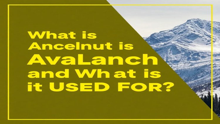 What is Avalanche (AVAX) and What is It Used for?